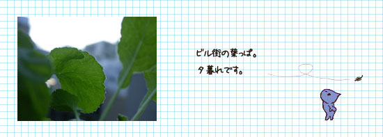 しだいにくれてゆく