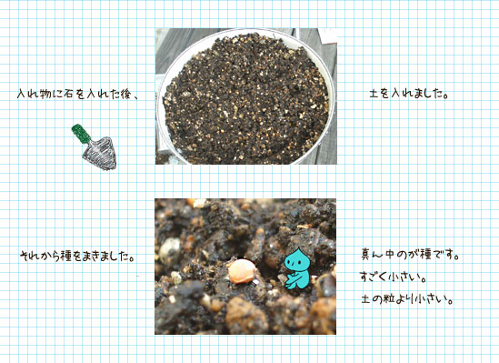 こうなりました